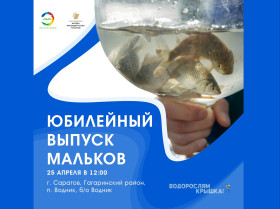 Водорослям крышка.